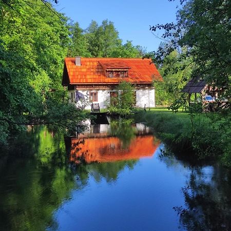Ferienhaus Klopeinersee Kaernten Sittersdorf المظهر الخارجي الصورة