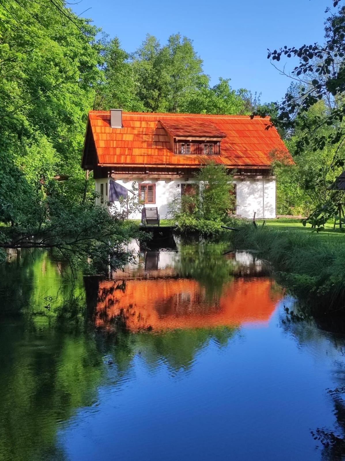 Ferienhaus Klopeinersee Kaernten Sittersdorf المظهر الخارجي الصورة