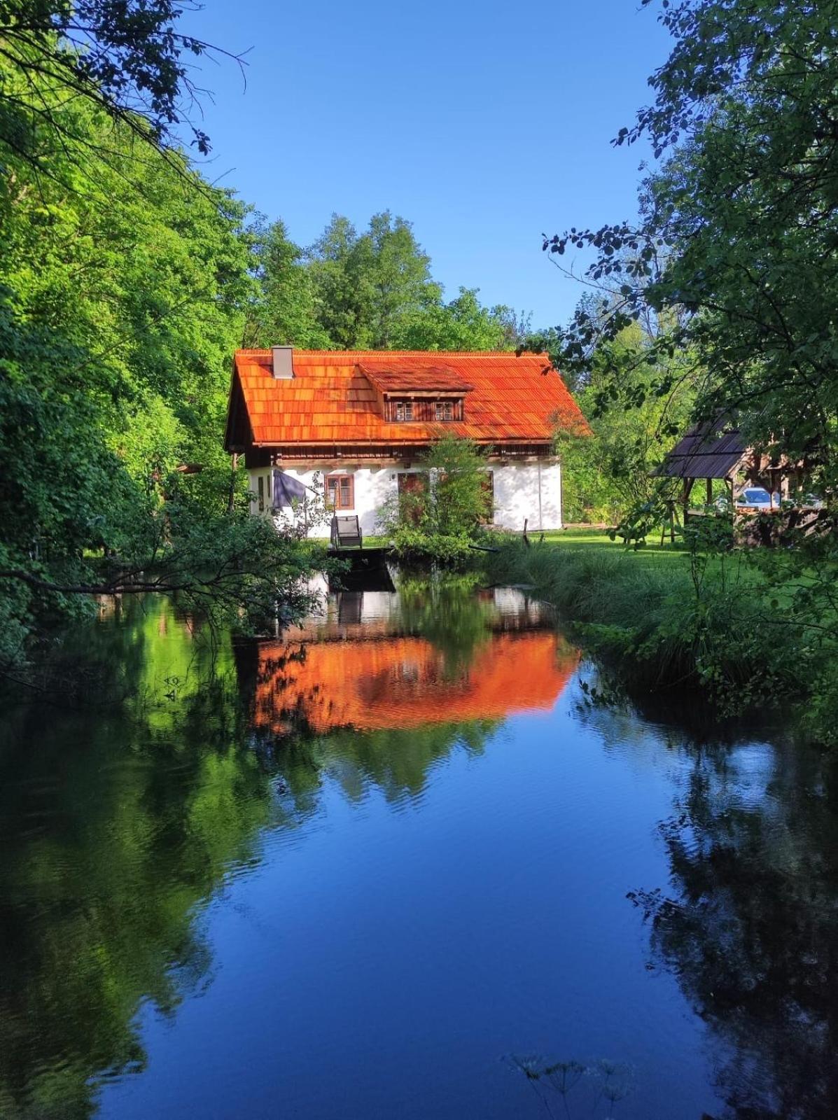 Ferienhaus Klopeinersee Kaernten Sittersdorf المظهر الخارجي الصورة